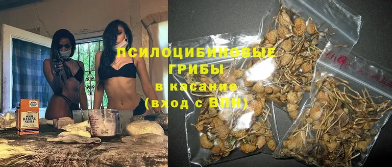 ОМГ ОМГ как зайти  Валдай  Псилоцибиновые грибы Magic Shrooms 